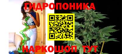 марихуана Ачхой-Мартан