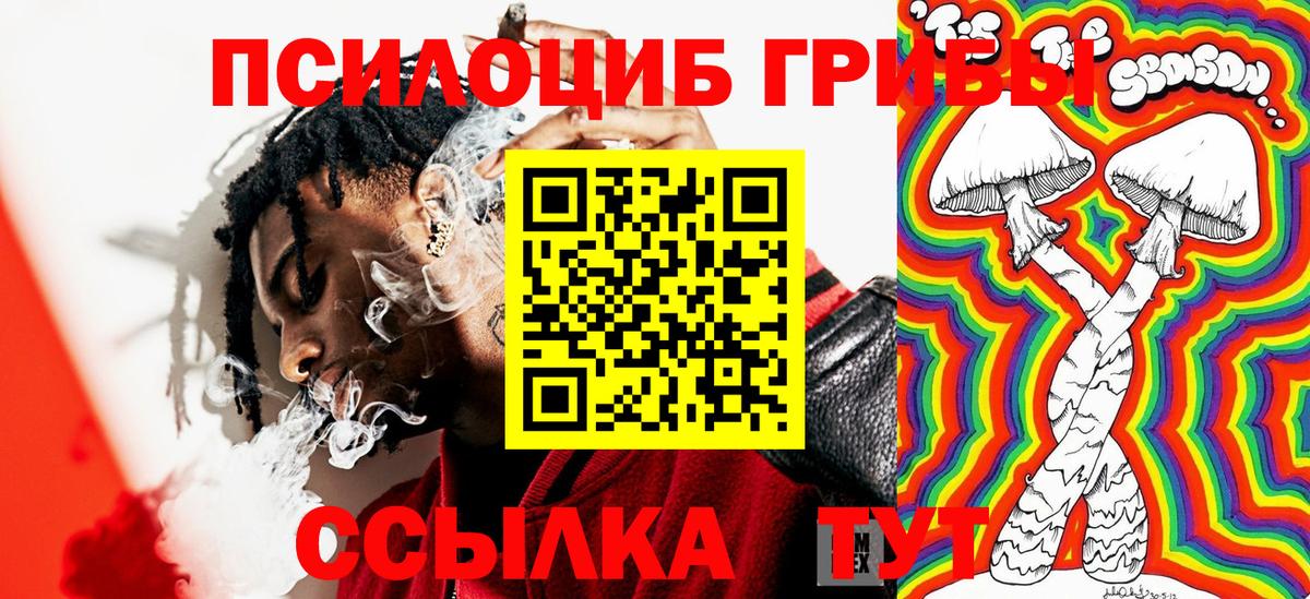 Галлюциногенные грибы MAGIC MUSHROOMS  Вход с VPN  Новороссийск  Псилоцибиновые грибы Magic Shrooms 