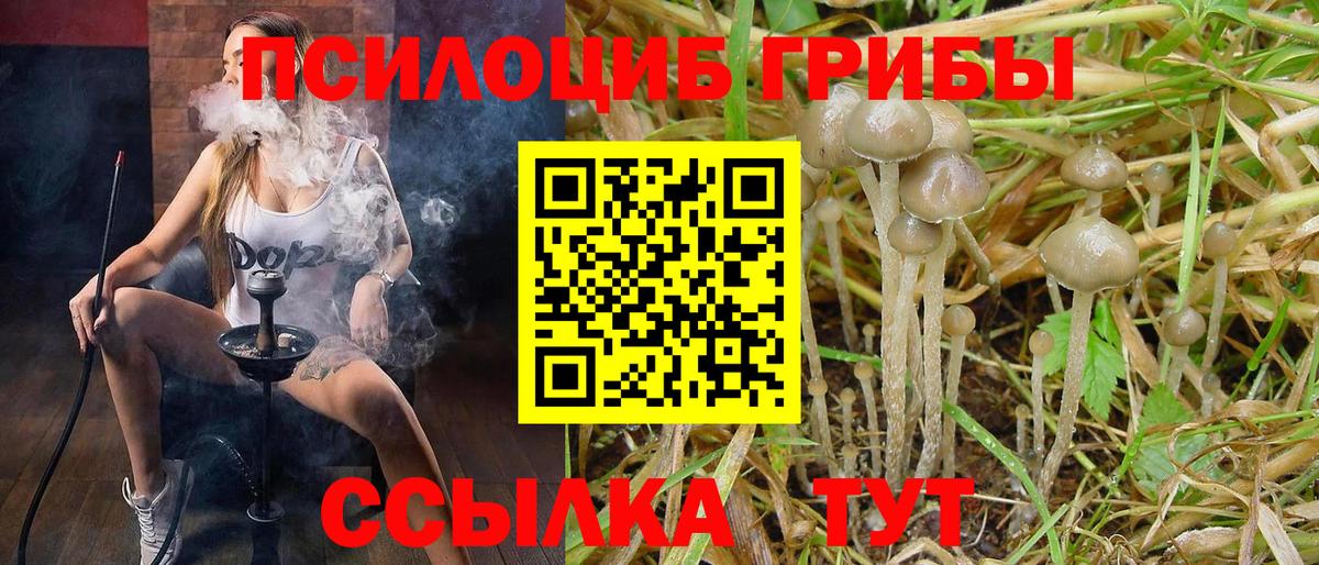 Галлюциногенные грибы MAGIC MUSHROOMS Новороссийск