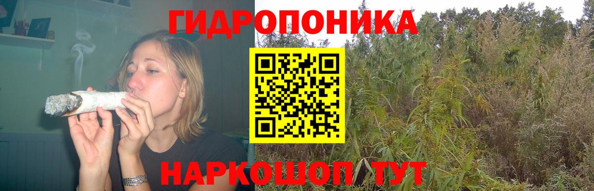 Бошки Шишки марихуана Новороссийск